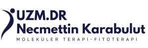 Uzm.Dr.Necmettin Karabulut- Moleküler ve Fitoterapi Uzmanı